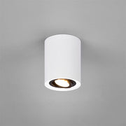 Rund rörtaklampa - PlafondLjus