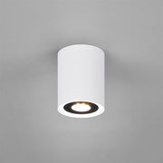 Rund rörtaklampa - PlafondLjus